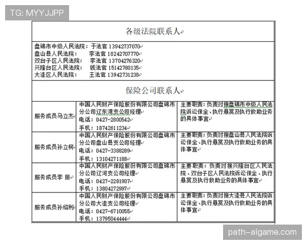 篮球挑战判罚规则的申请机制与执行流程解析