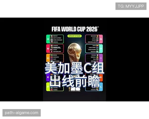 世界杯C组出线形势全面分析